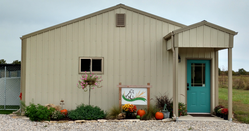 Front of Prairie Paws Building, decorated with pumpkins and fall flowers